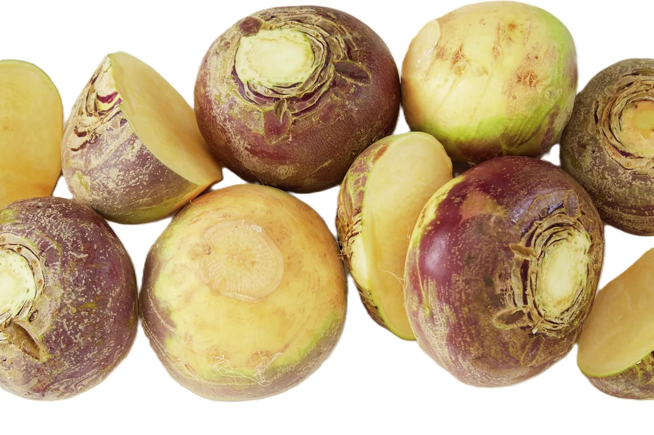 KÅLROT KG