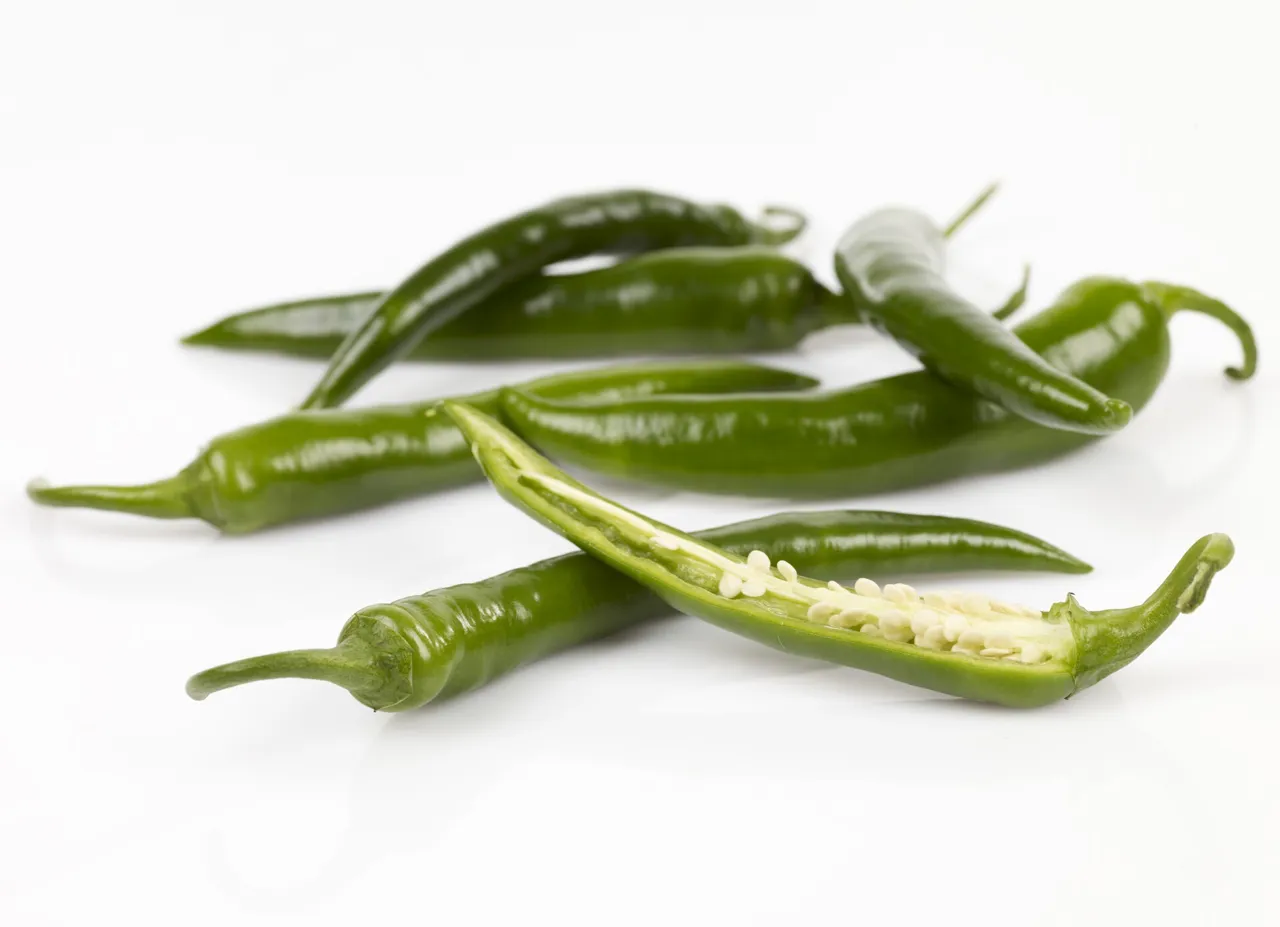 CHILIPEPPER GRØNN KG