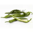 CHILIPEPPER GRØNN KG