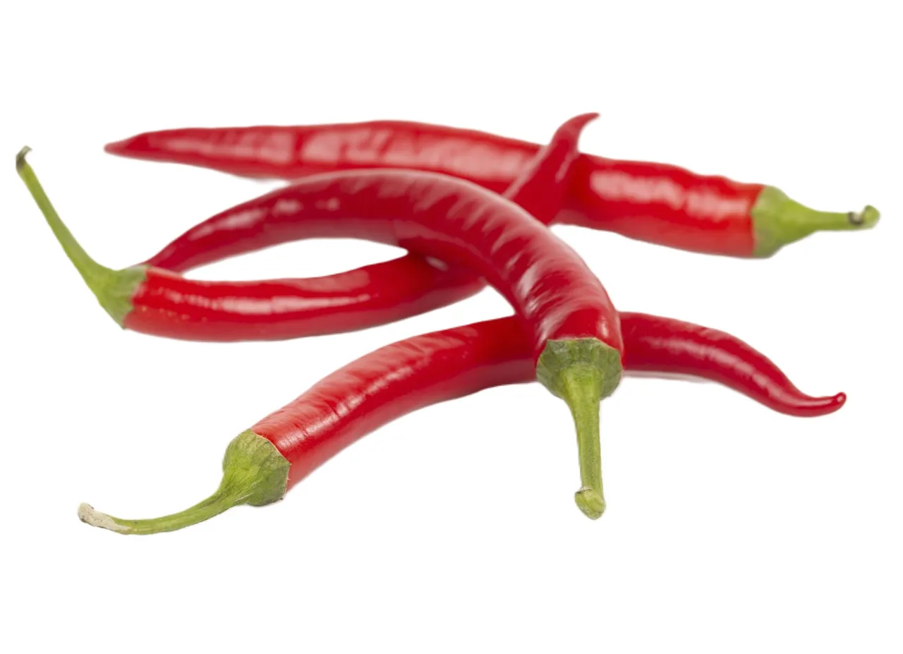 CHILIPEPPER RØD KG