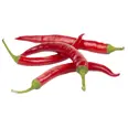 CHILIPEPPER RØD KG