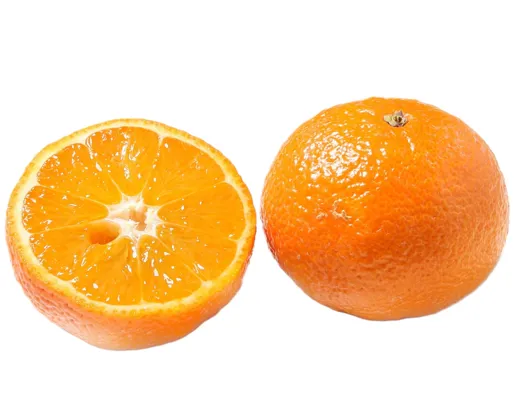 Klementiner Kg