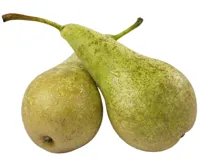 PÆRER CONFERENCE KG