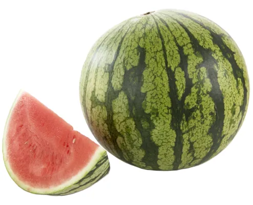 Vannmelon Kg