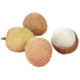 LITCHI KG