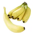 BANANER KG