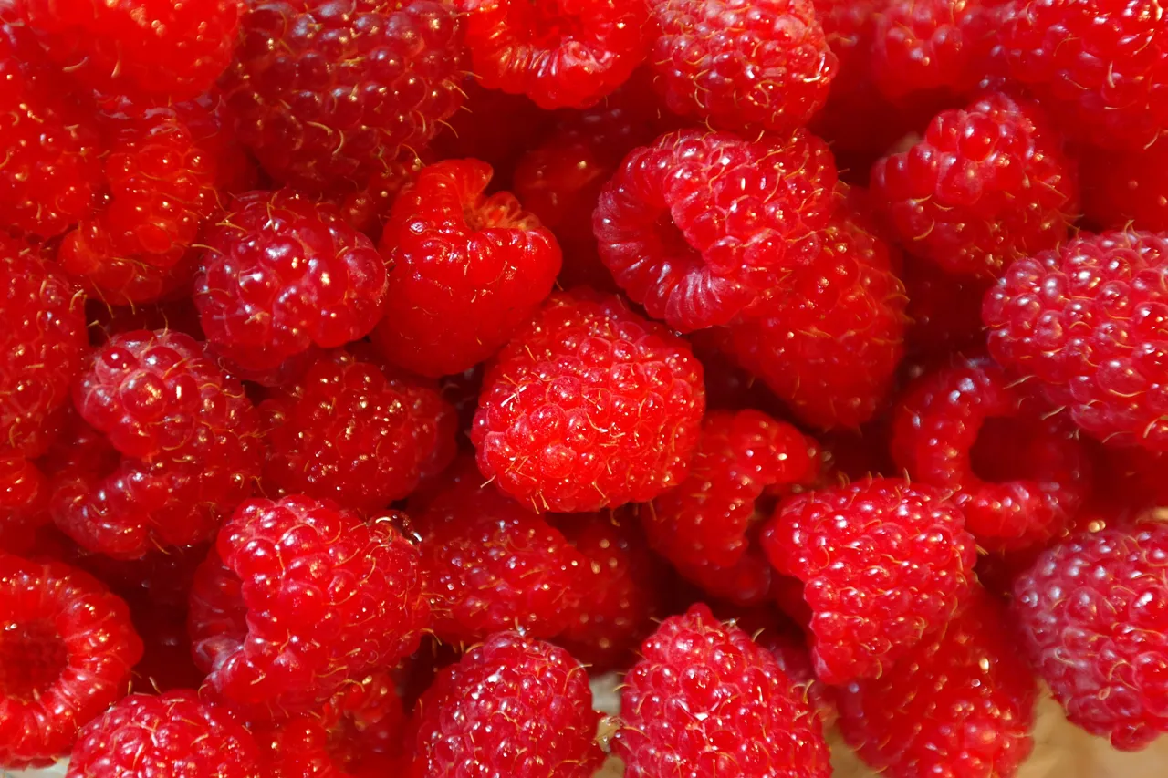 BRINGEBÆR 125G