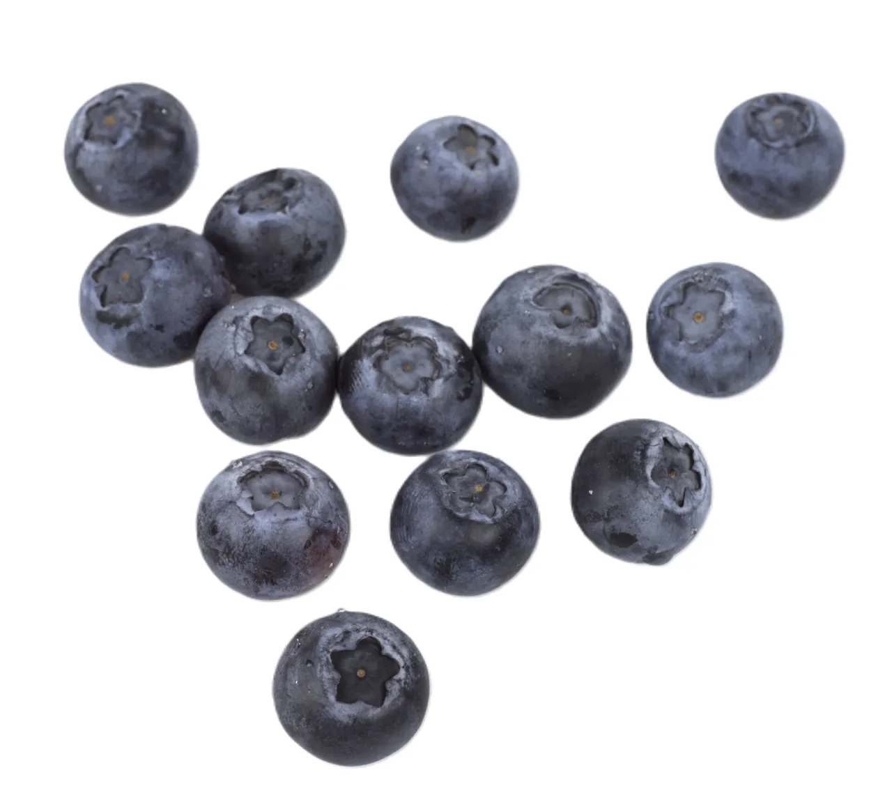 BLÅBÆR KURV 125G KRV