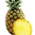 ANANAS STK