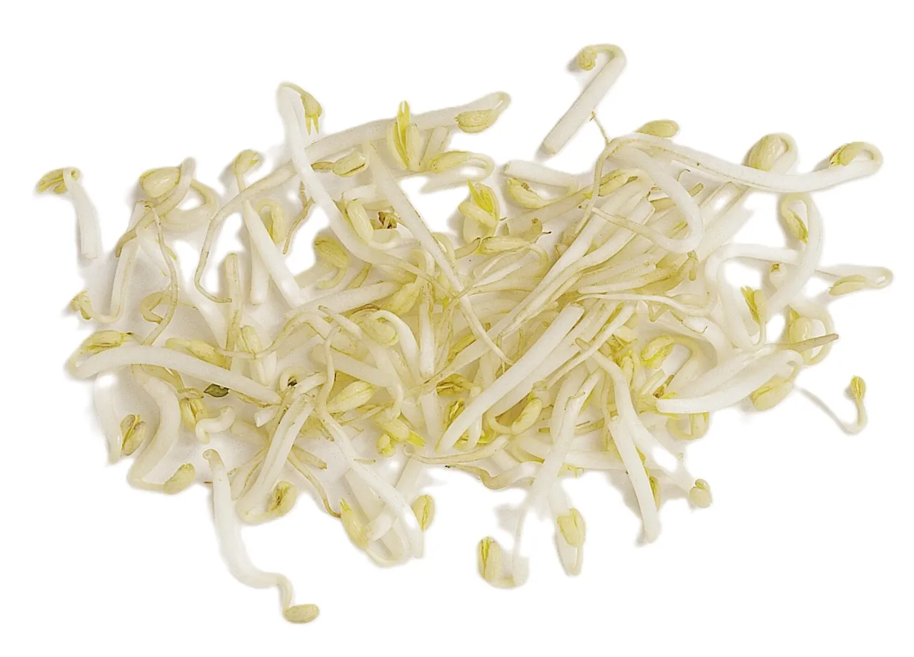 BØNNESPIRER 180G PK