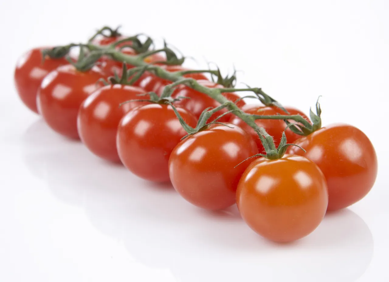 TOMATER CHERRY RØD 250G PK