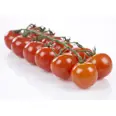 TOMATER CHERRY RØD 250G PK