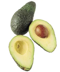 AVOKADO STOR MODEN STK