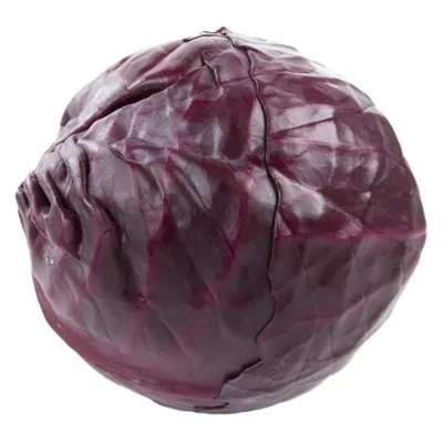 RØDKÅL KG RØDKÅL KG