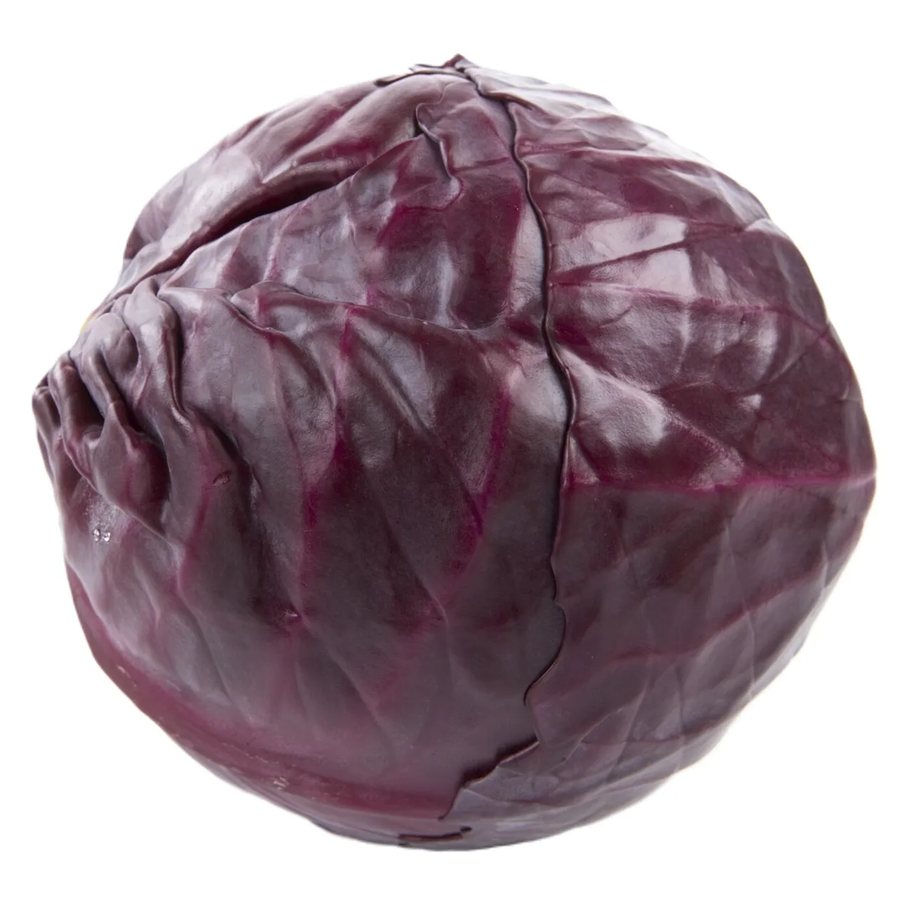 RØDKÅL KG