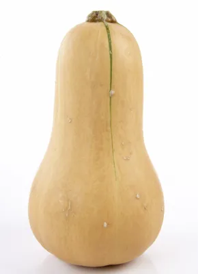 Gresskar Flaske Frisk Kg