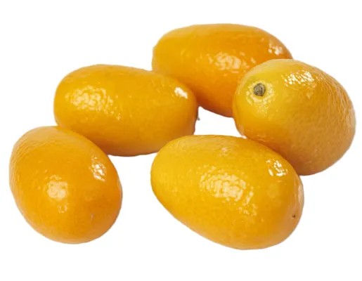 KUMQUAT KG KUMQUAT KG
