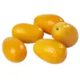KUMQUAT KG