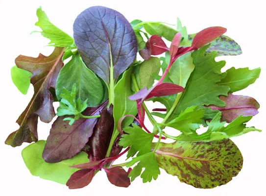Salat Babyleaf Mix 400g Stk