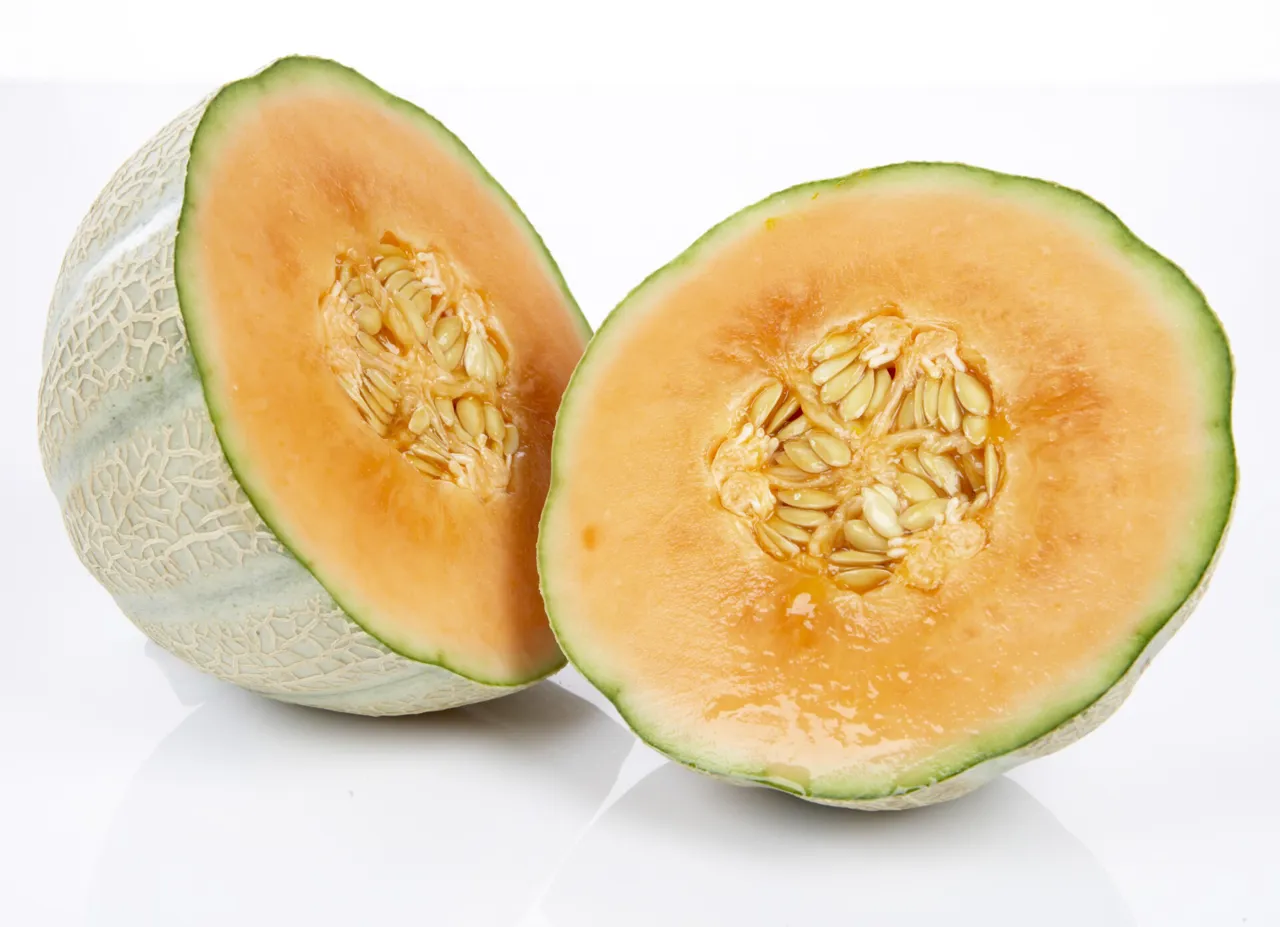 CANTALOUPEMELON KG