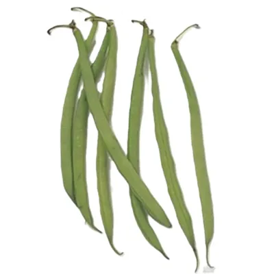 BØNNER BOBBY KG BØNNER BOBBY KG