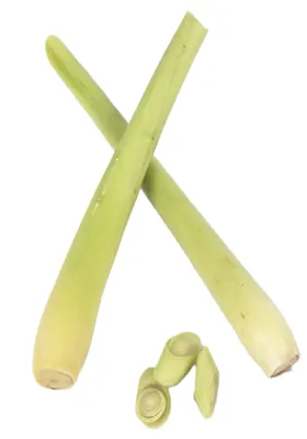Sitrongress Kg