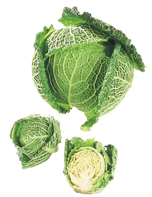 Savoykål Norsk Kg