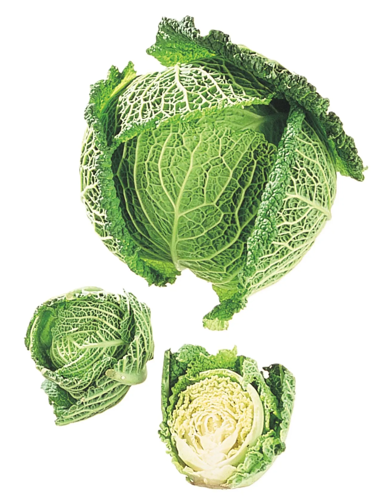 SAVOYKÅL NORSK KG