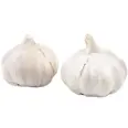 HVITLØK FERSK LØS KG