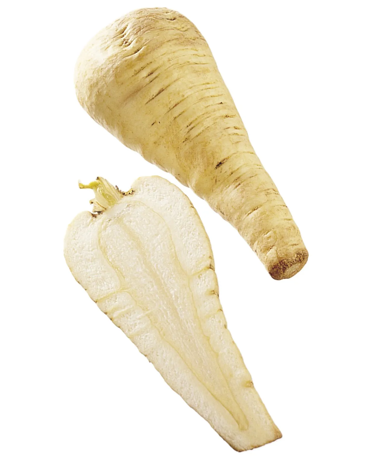 PASTINAKK KG
