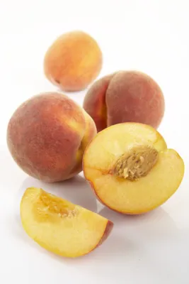 FERSKEN KG FERSKEN KG