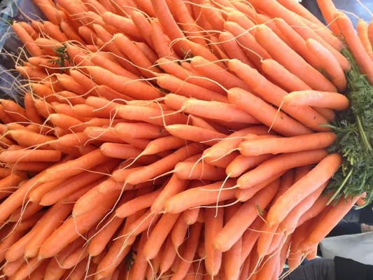 Gulrot Sekk 10kg