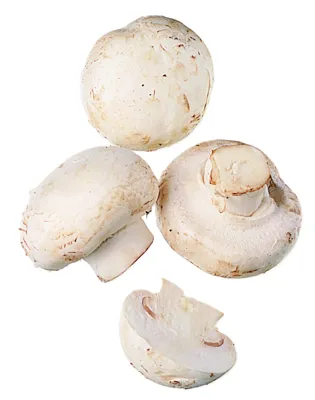 Sopp Champignon 2,5kg