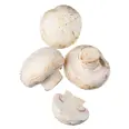SOPP CHAMPIGNON 2,5KG