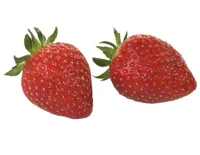 JORDBÆR IMPORT KURV 400G