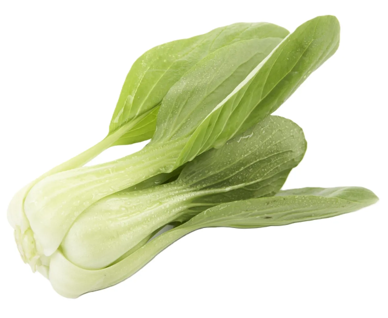 PAK CHOY MINI 2KG