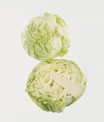 NYKÅL/SOMMERKÅL KG NYKÅL/SOMMERKÅL KG