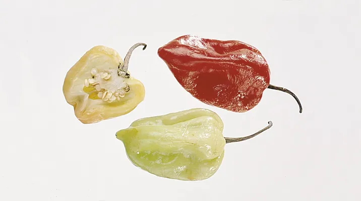 Habanero Pepper Gul Kg