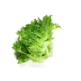 SALAT CRISPI KUTTET 1KG