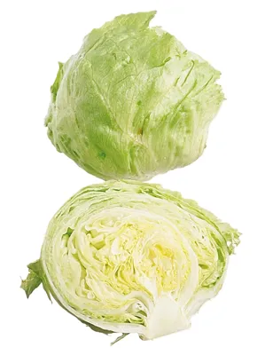 Isbergsalat Kuttet 1 Kg
