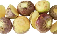 KÅLROT SKRELT RÅ HEL KG