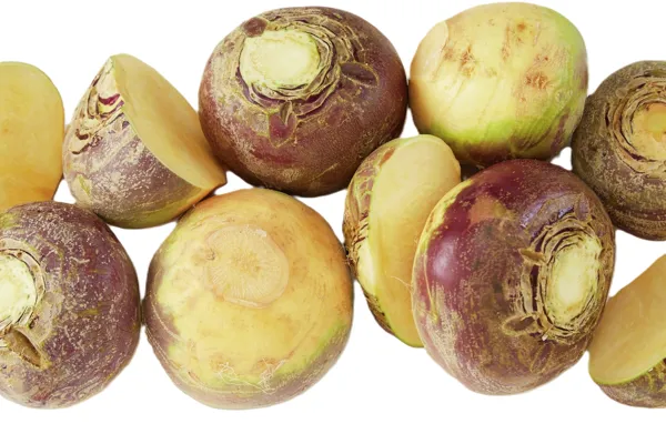 KÅLROT TERNING VAC. KG KÅLROT TERNING VAC. KG