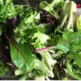 RESTAURANTSALAT 500G