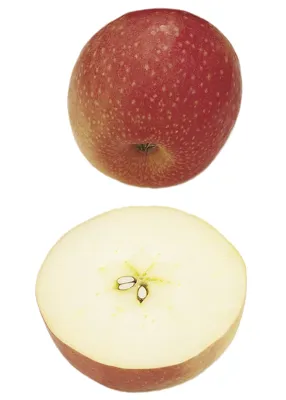 Epler Pink Lady Kg