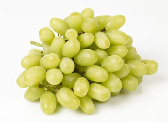 DRUER GRØNNE STENFRI KG DRUER GRØNNE STENFRI KG