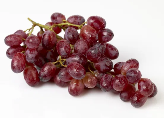 DRUER RØDE STENFRIE KG DRUER RØDE STENFRIE KG