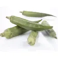 OKRA KG