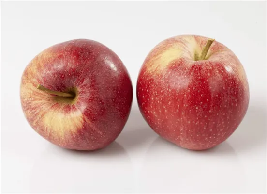 EPLER ROYAL GALA IMPORT KG EPLER ROYAL GALA IMPORT KG