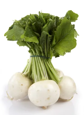 NEPE 800G BUNT NEPE 800G BUNT