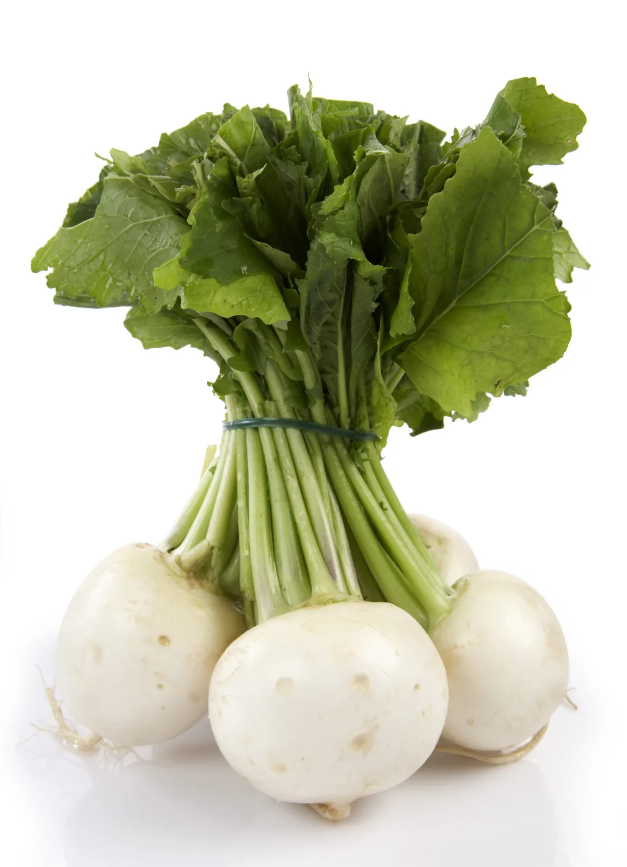 NEPE 800G BUNT